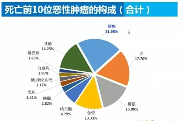 癌癥病排前十